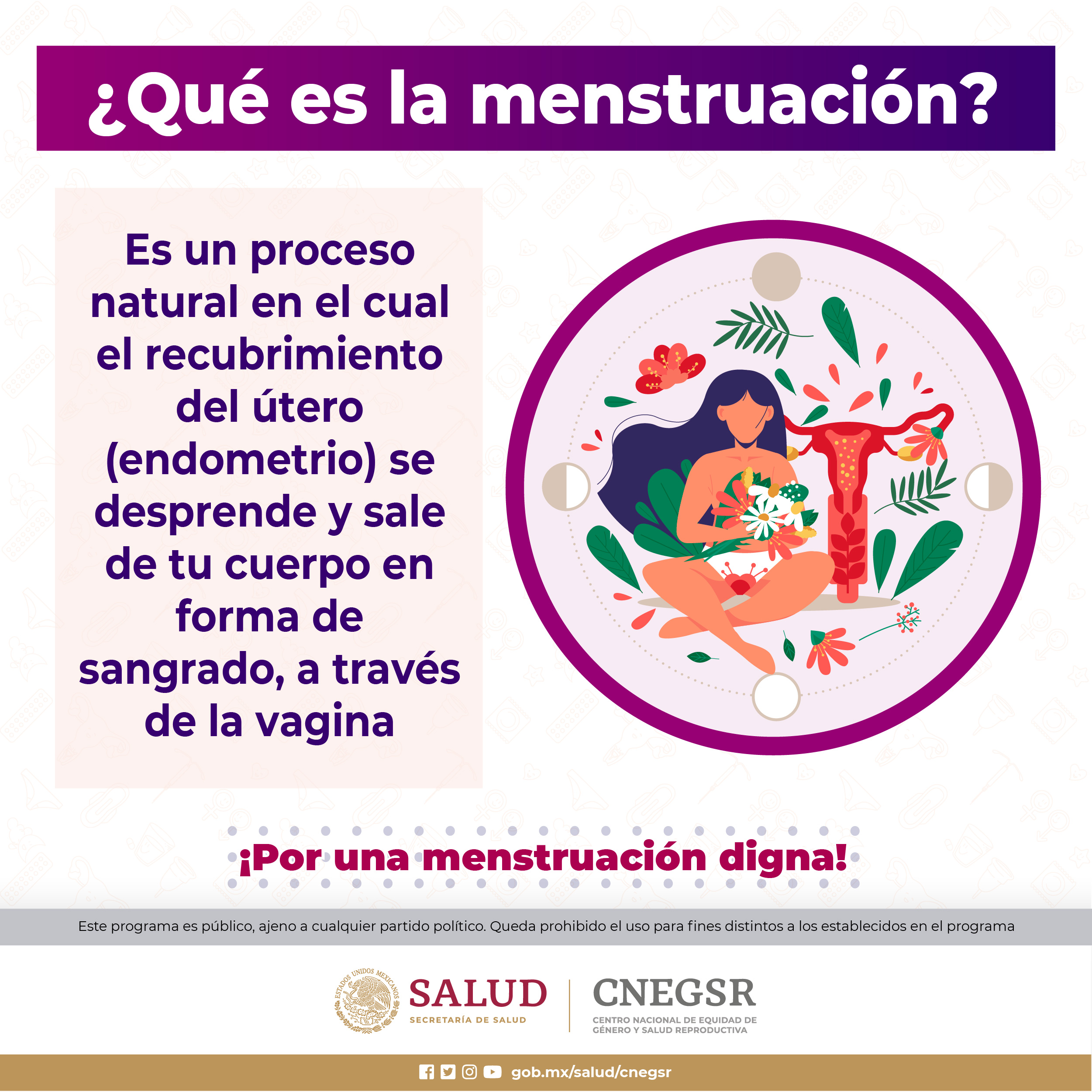 1_Carrusel_Que es la Menstruacion_1.jpg
