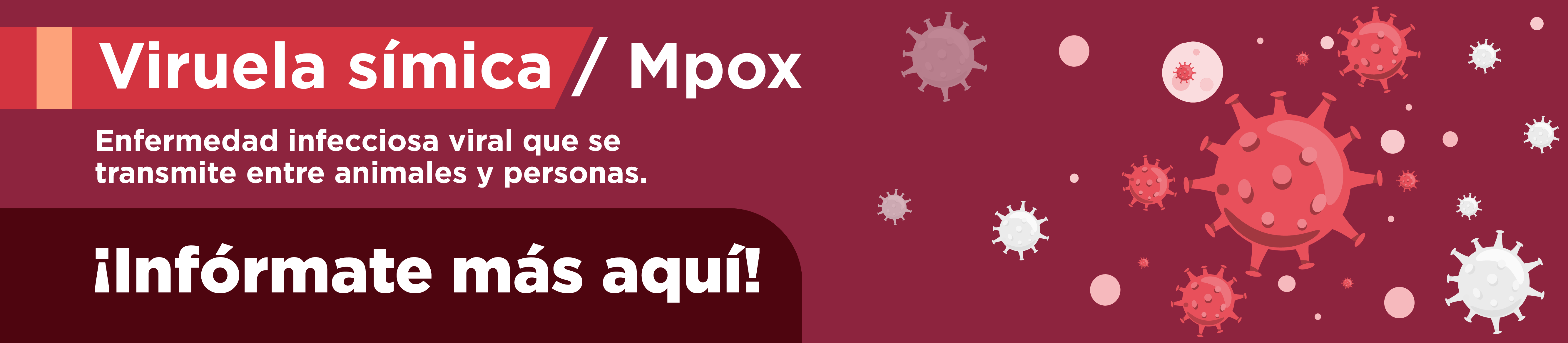 Viruela Símica / Mpox