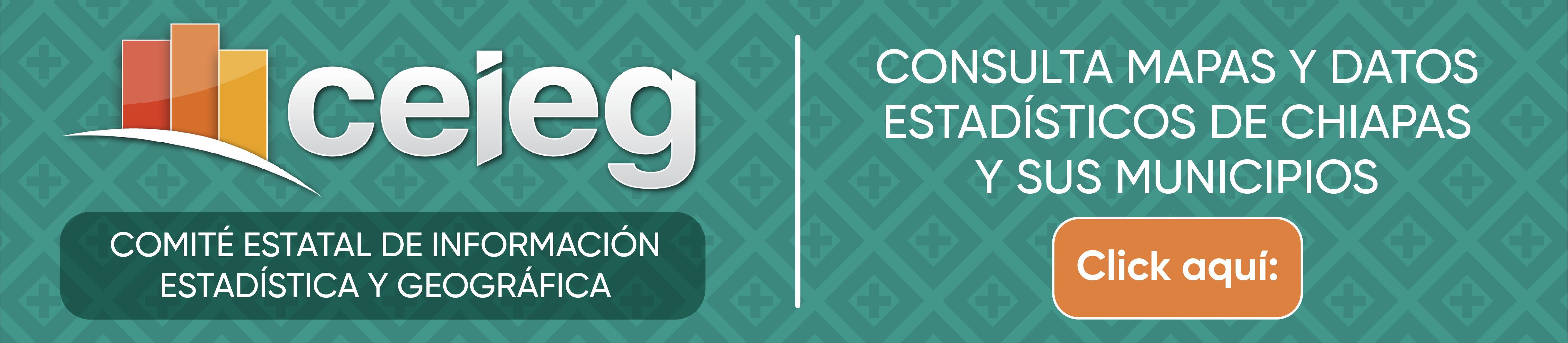 Comité Estatal de Información Estadística y Geográfica